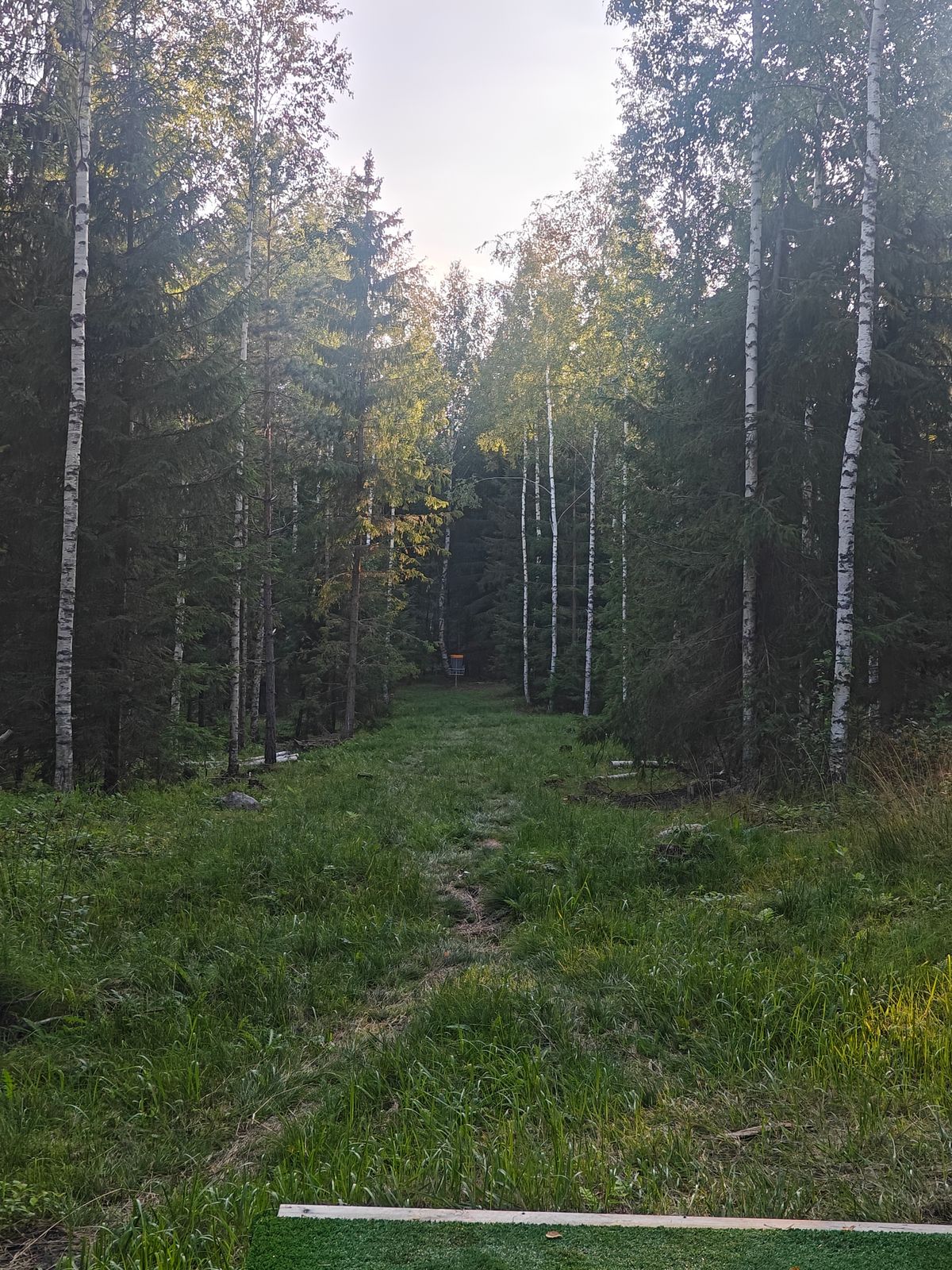 Väylä #14
