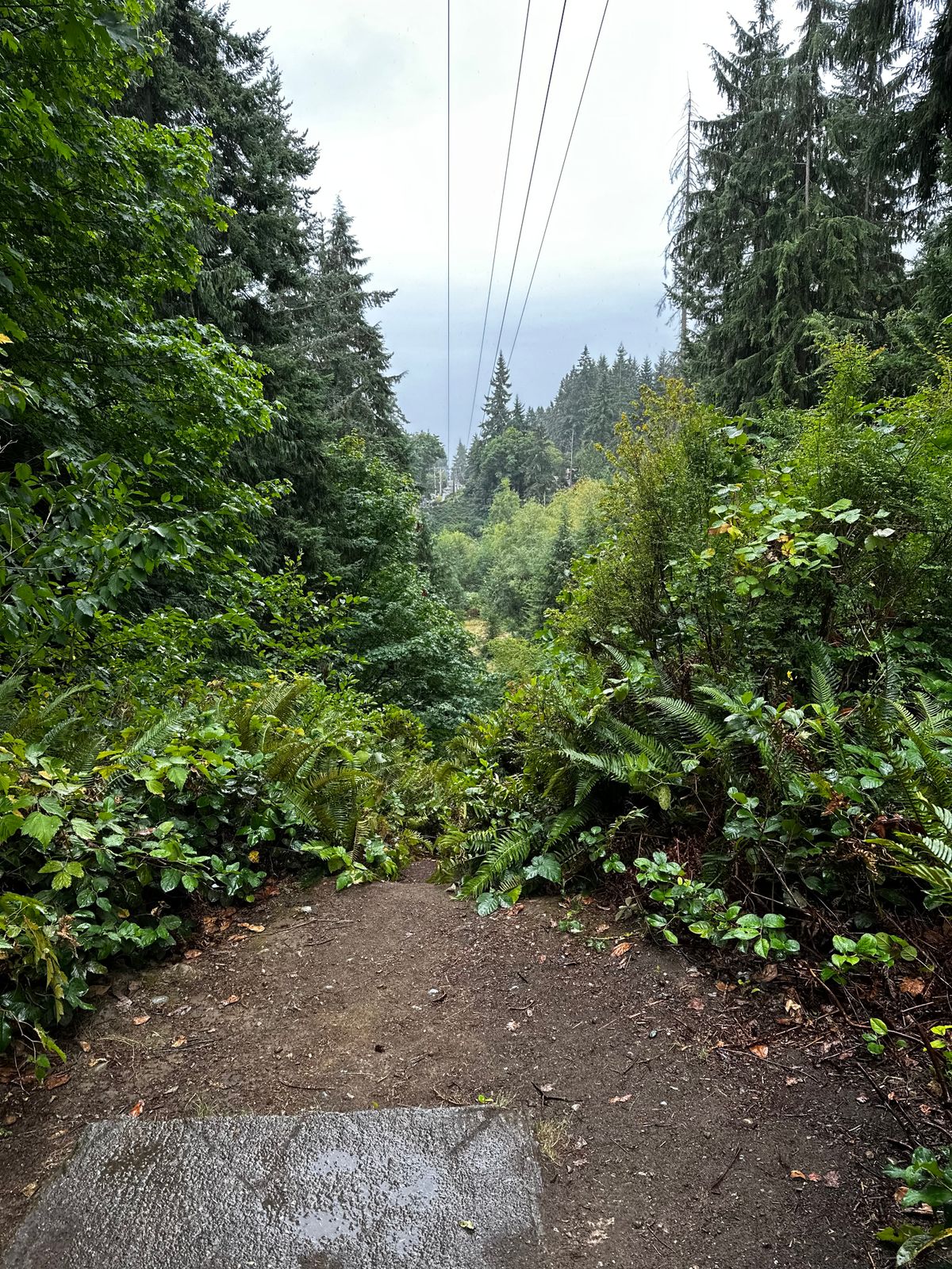 18 tee. Scary walk down in the rain.