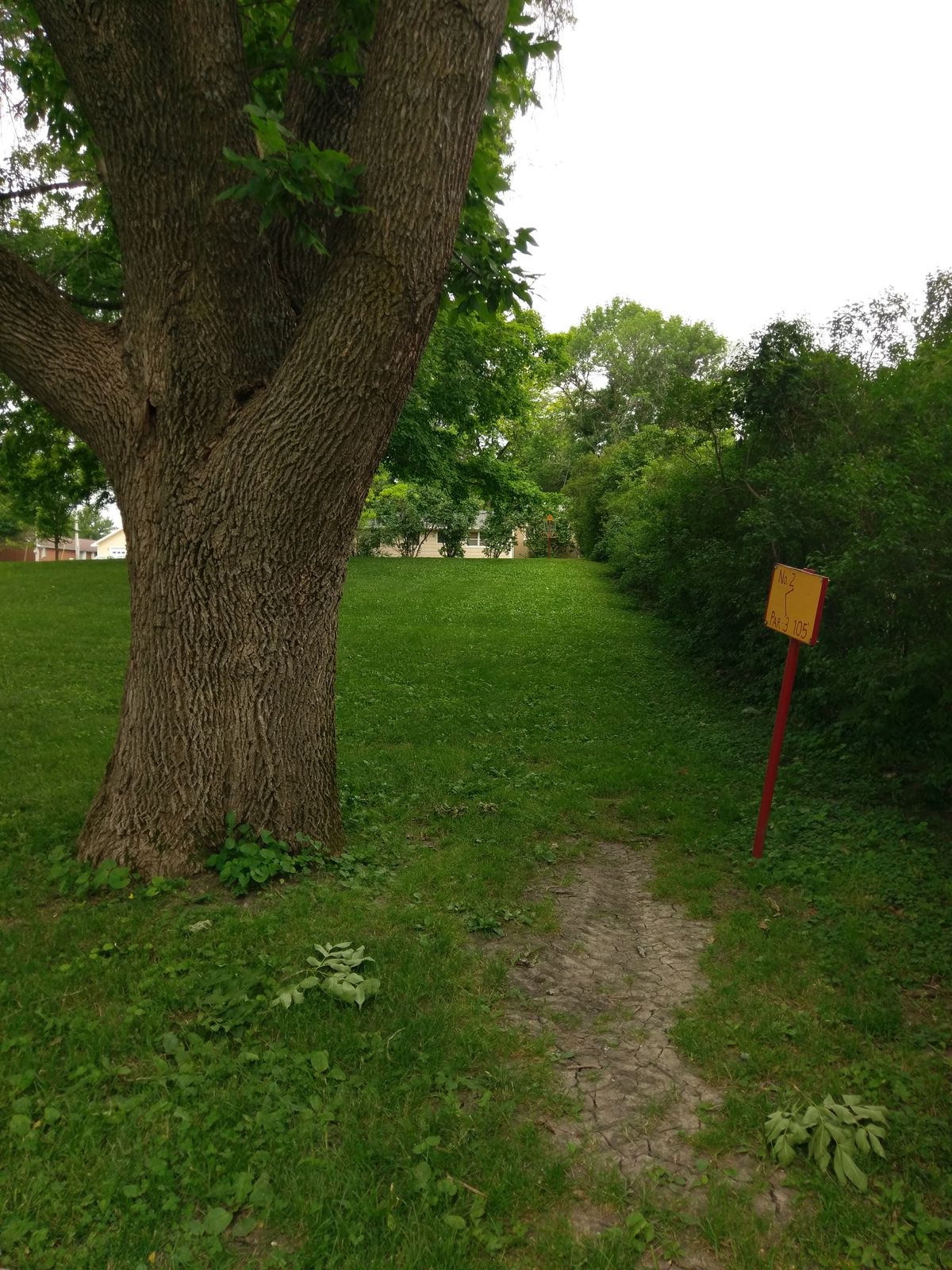 Hole #2