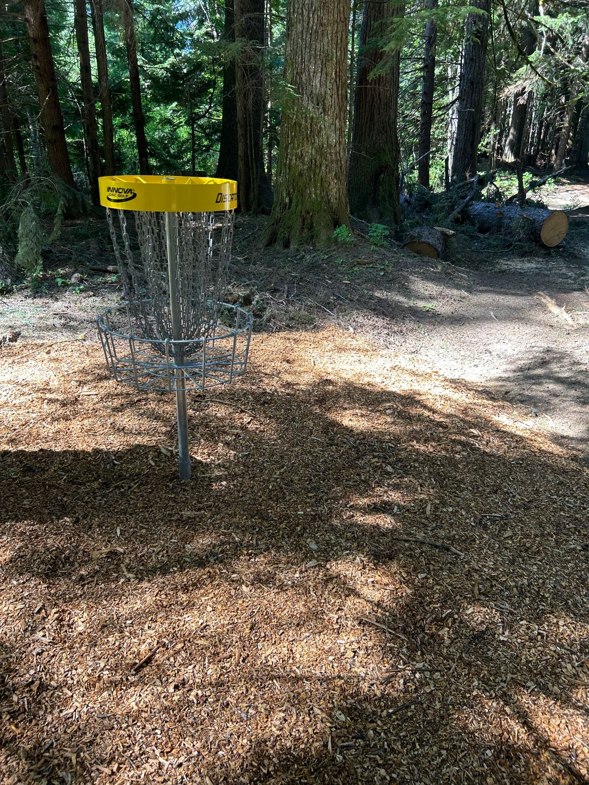 freshly mulched green of hole 9