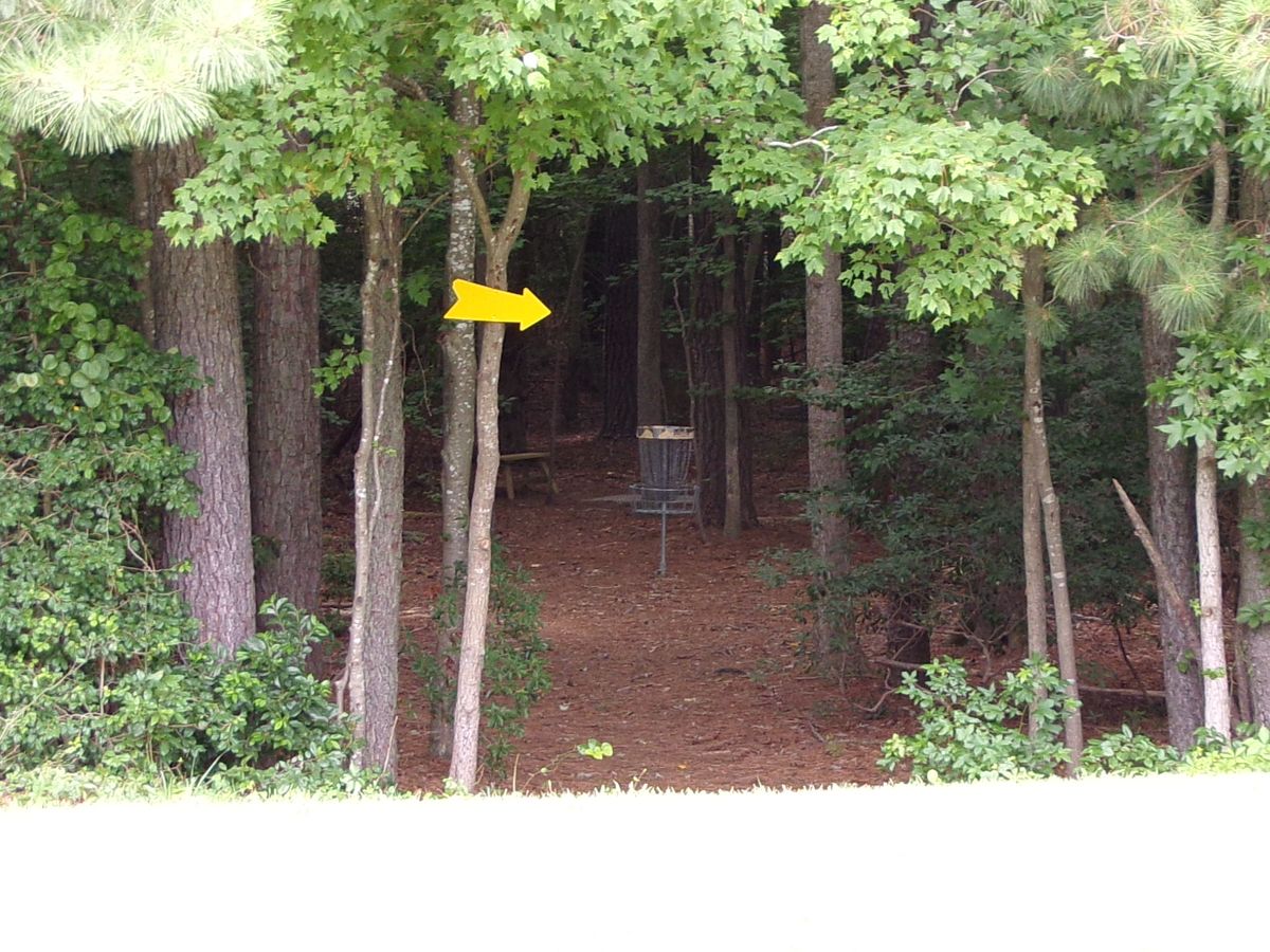 Zoomed in view of hole 1's basket from the field.