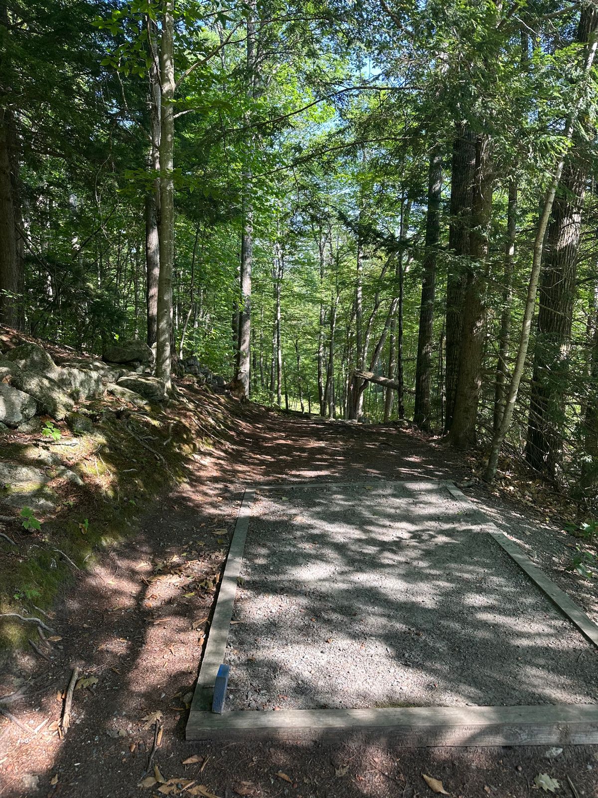 Tee pad 18