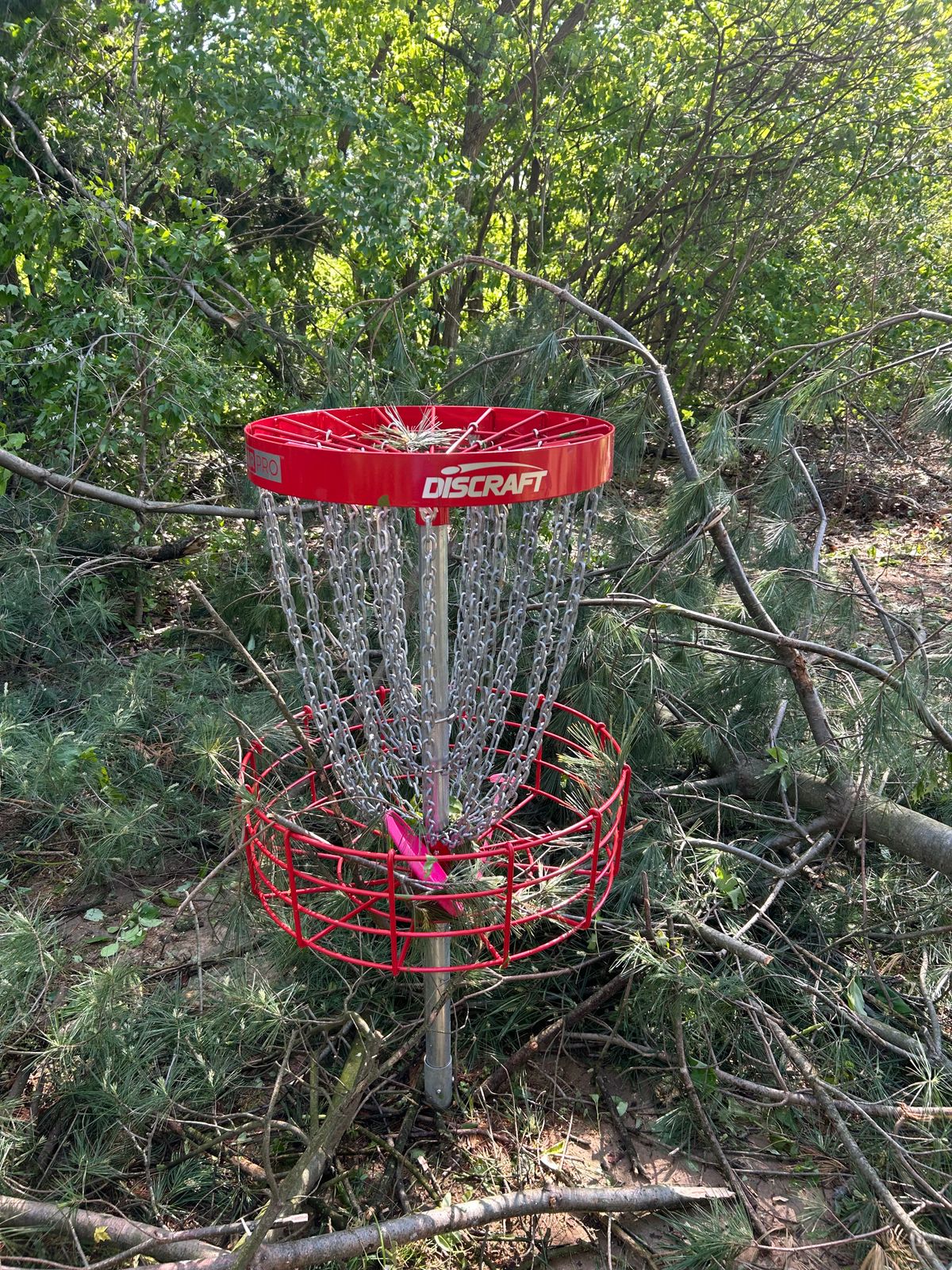 Downed trees in basket 8.