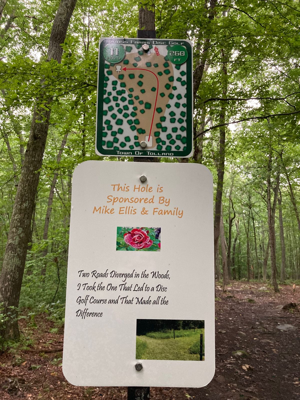 Hole 11.