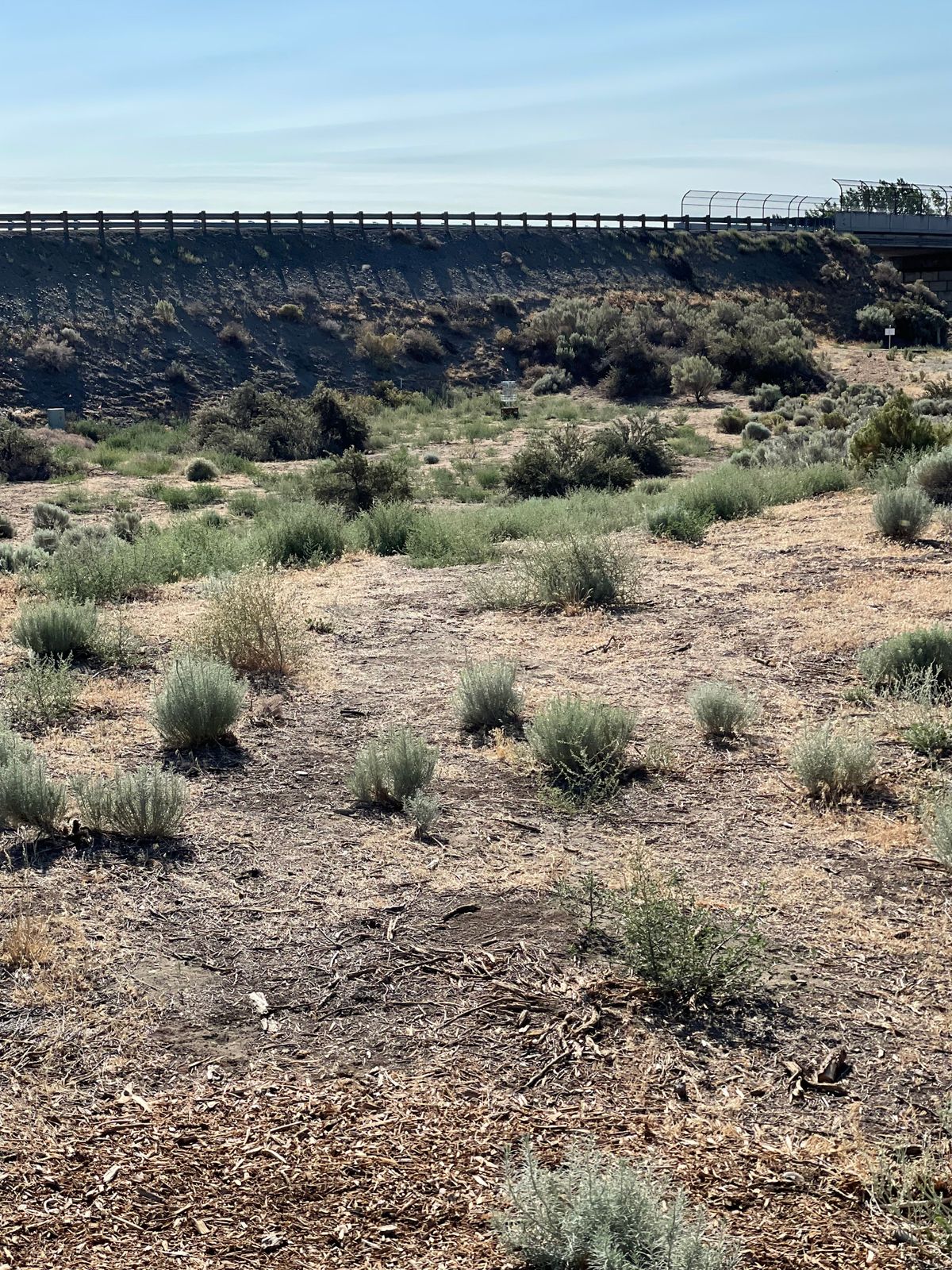 Hole 12