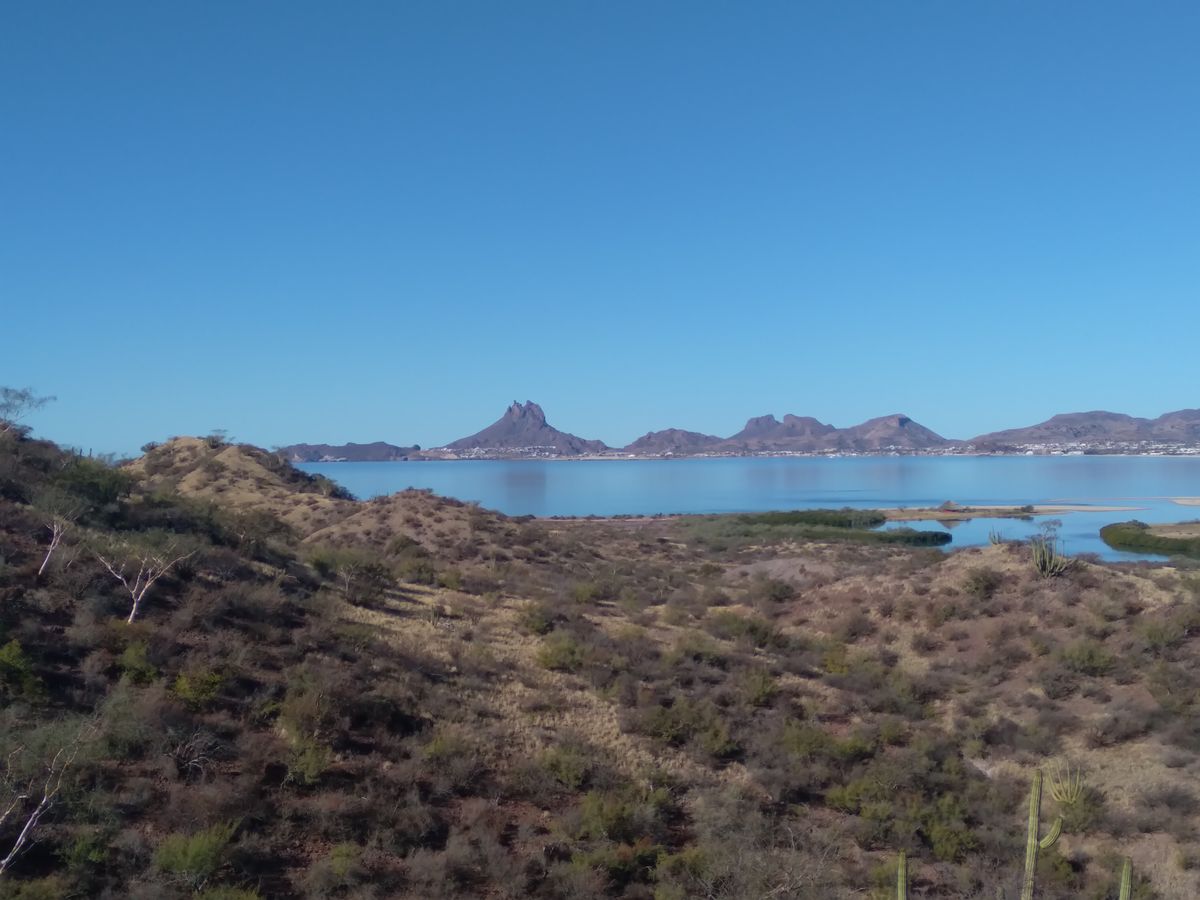 The Sea of Cortez from another angle