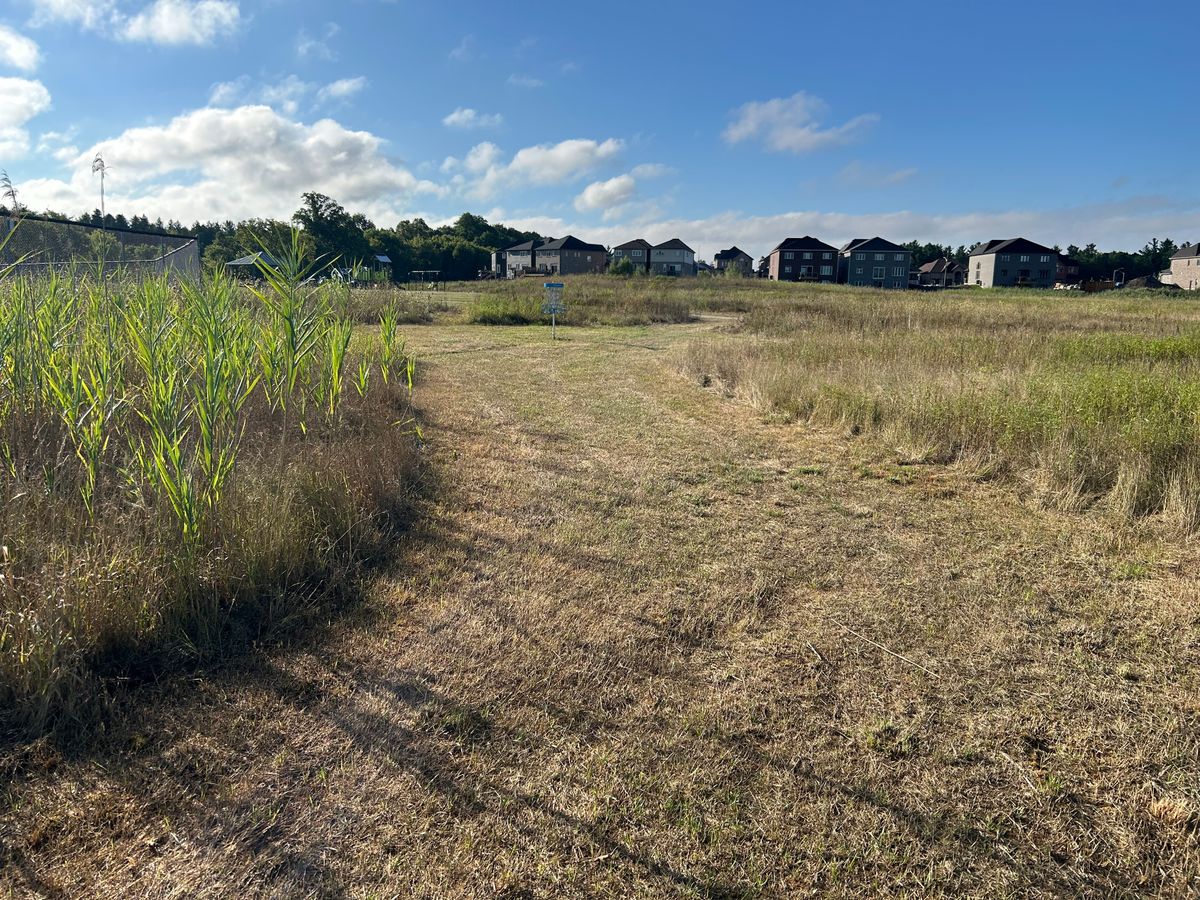 Hole 5 basket