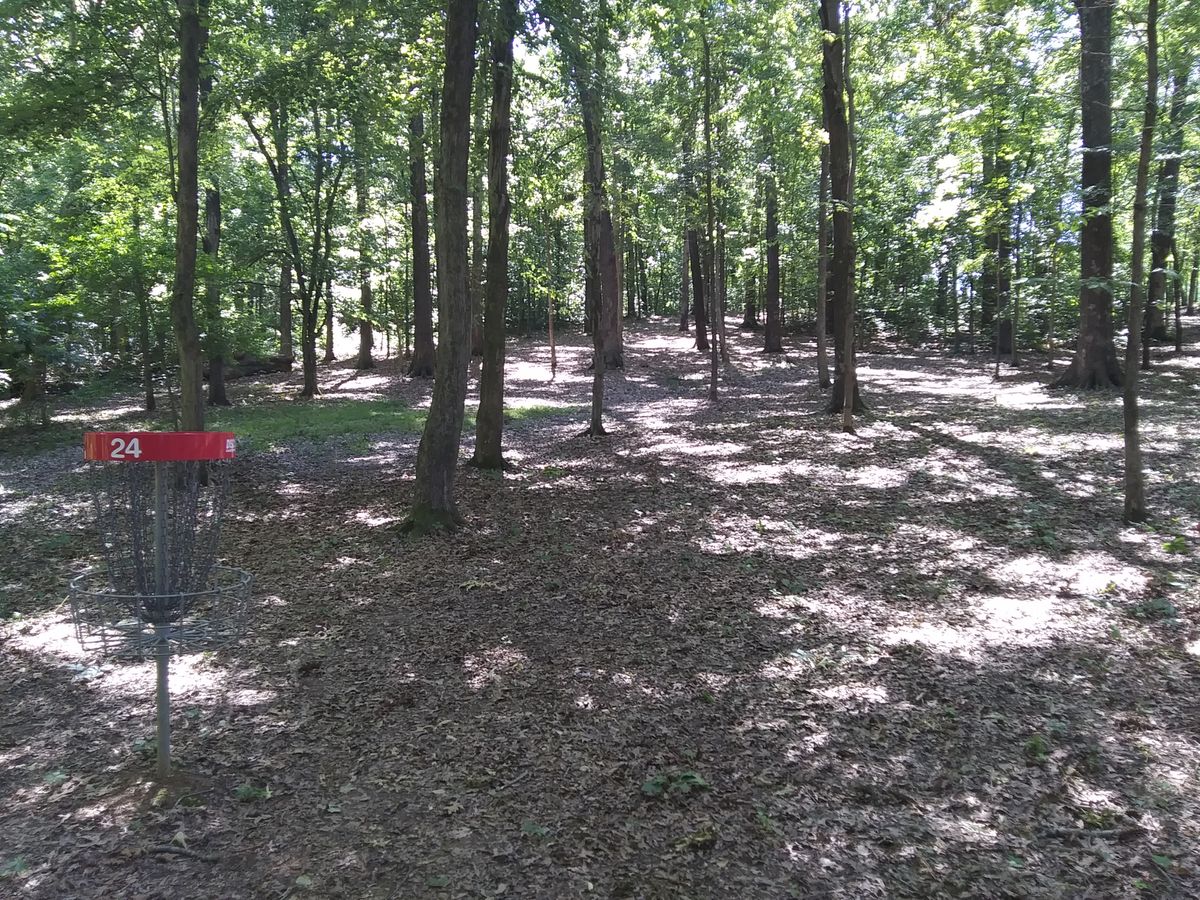 #24's red target looking up the fairway to the tee.  This downhill tee shot bends left and sharper left for the yellow target.