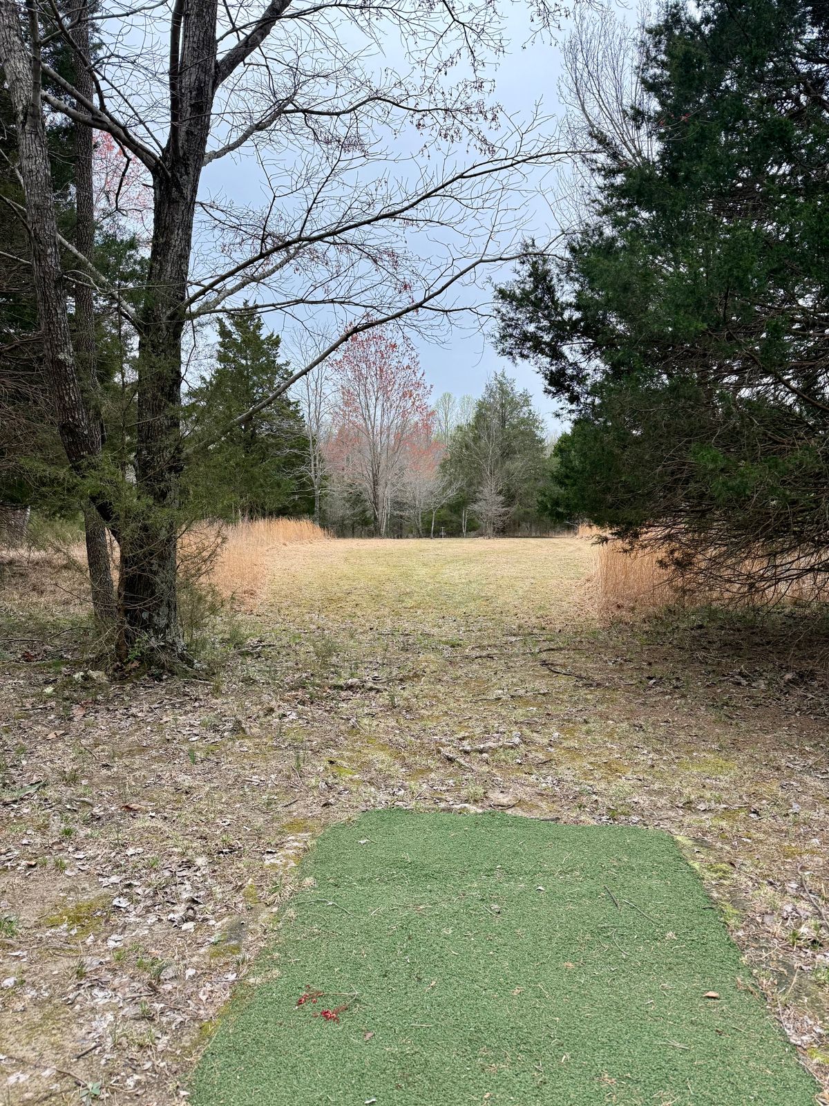Hole 8