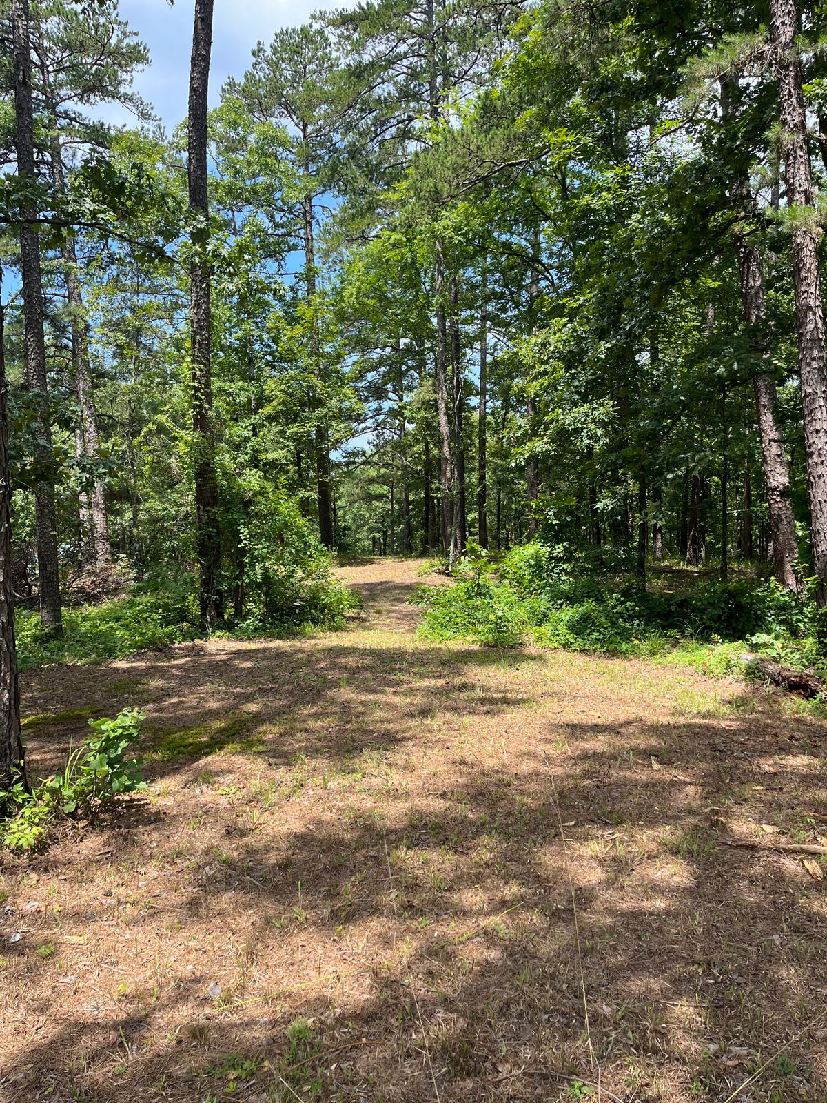 Hole 3 fairway
