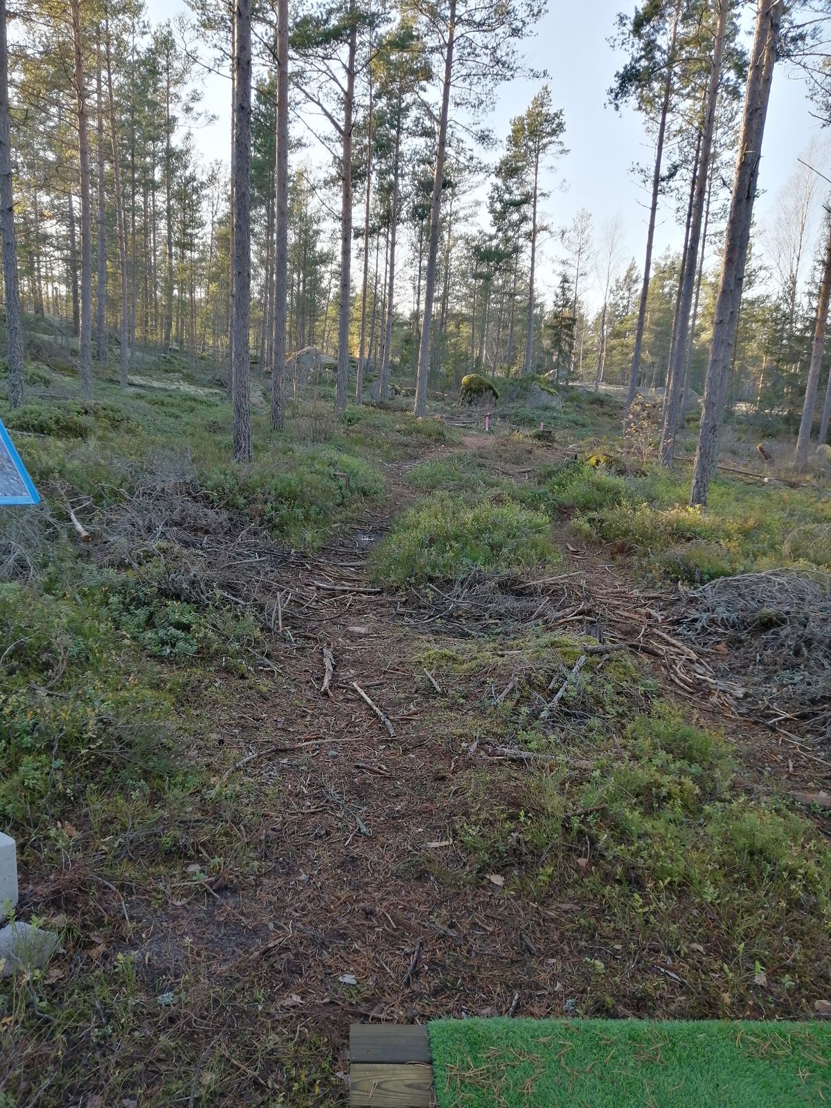 14. Väylä