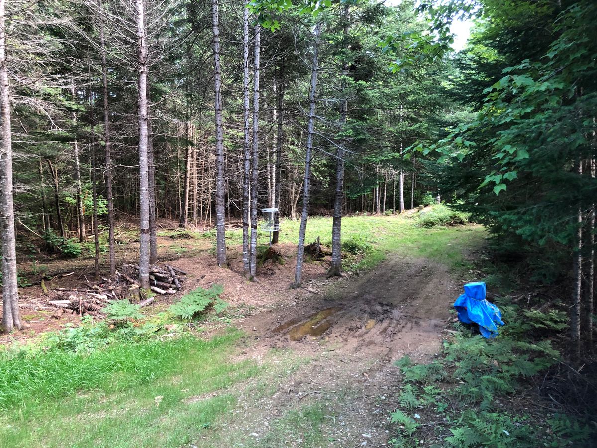 4 basket area in short
