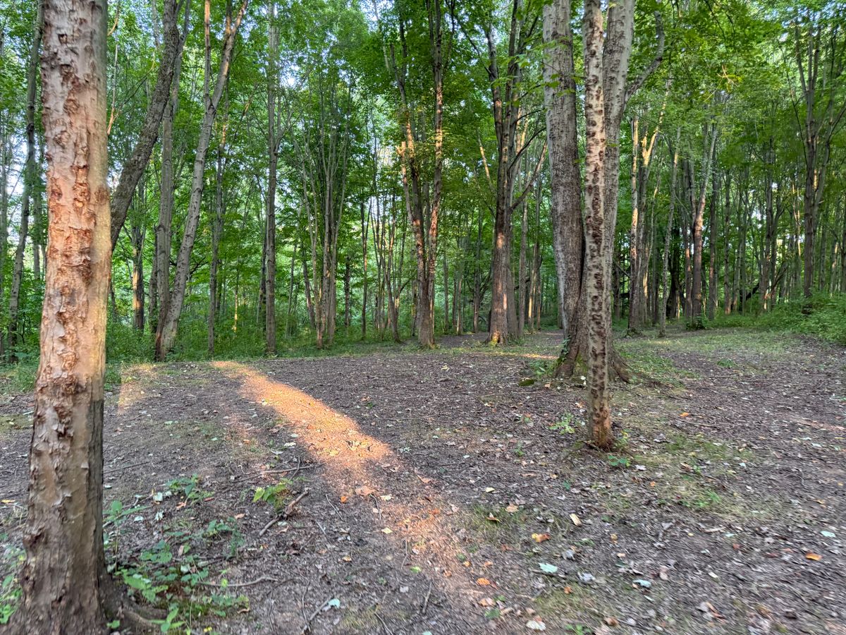 Hole 5 Fairway