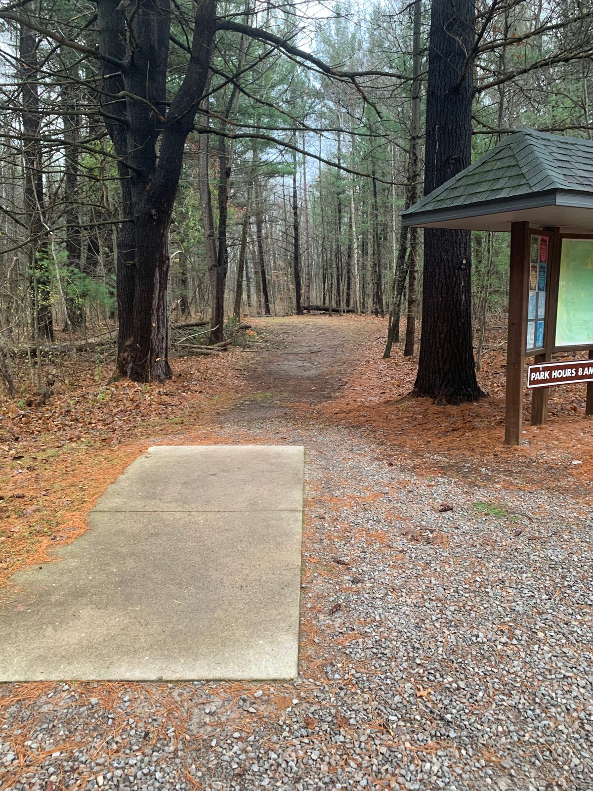 Hole 1 tee pad