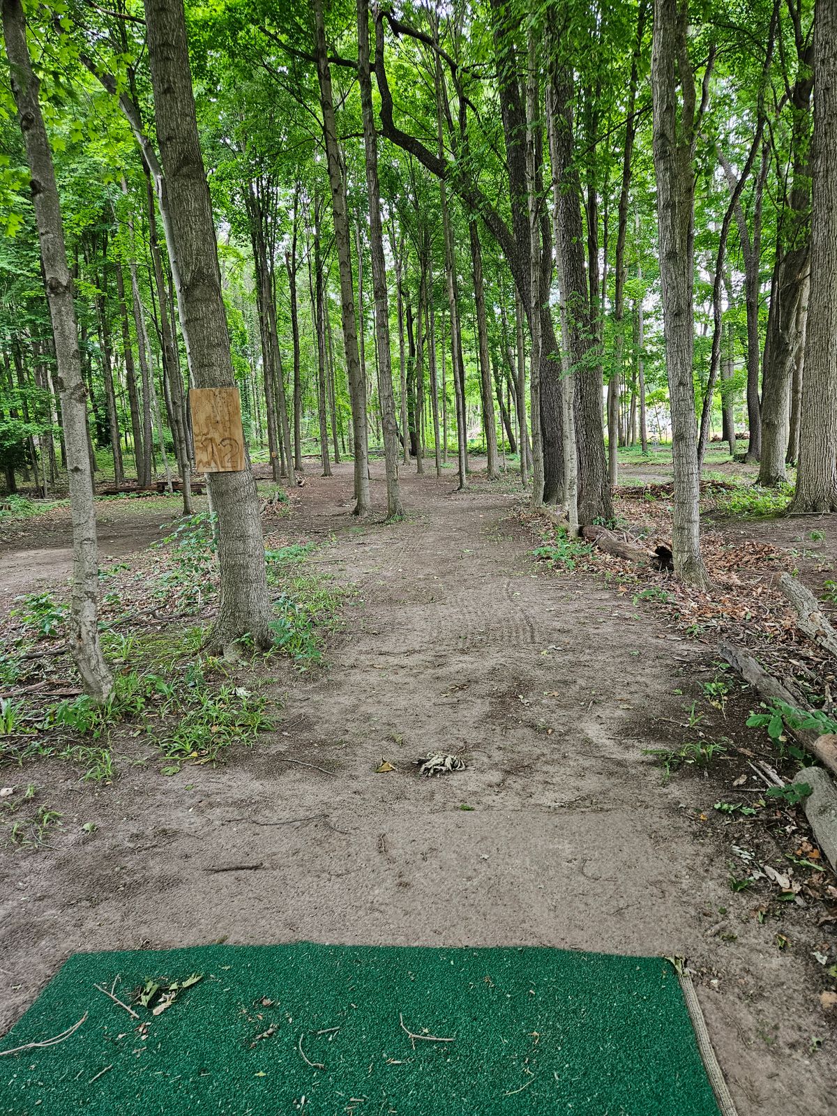 Hole 12 tee pad