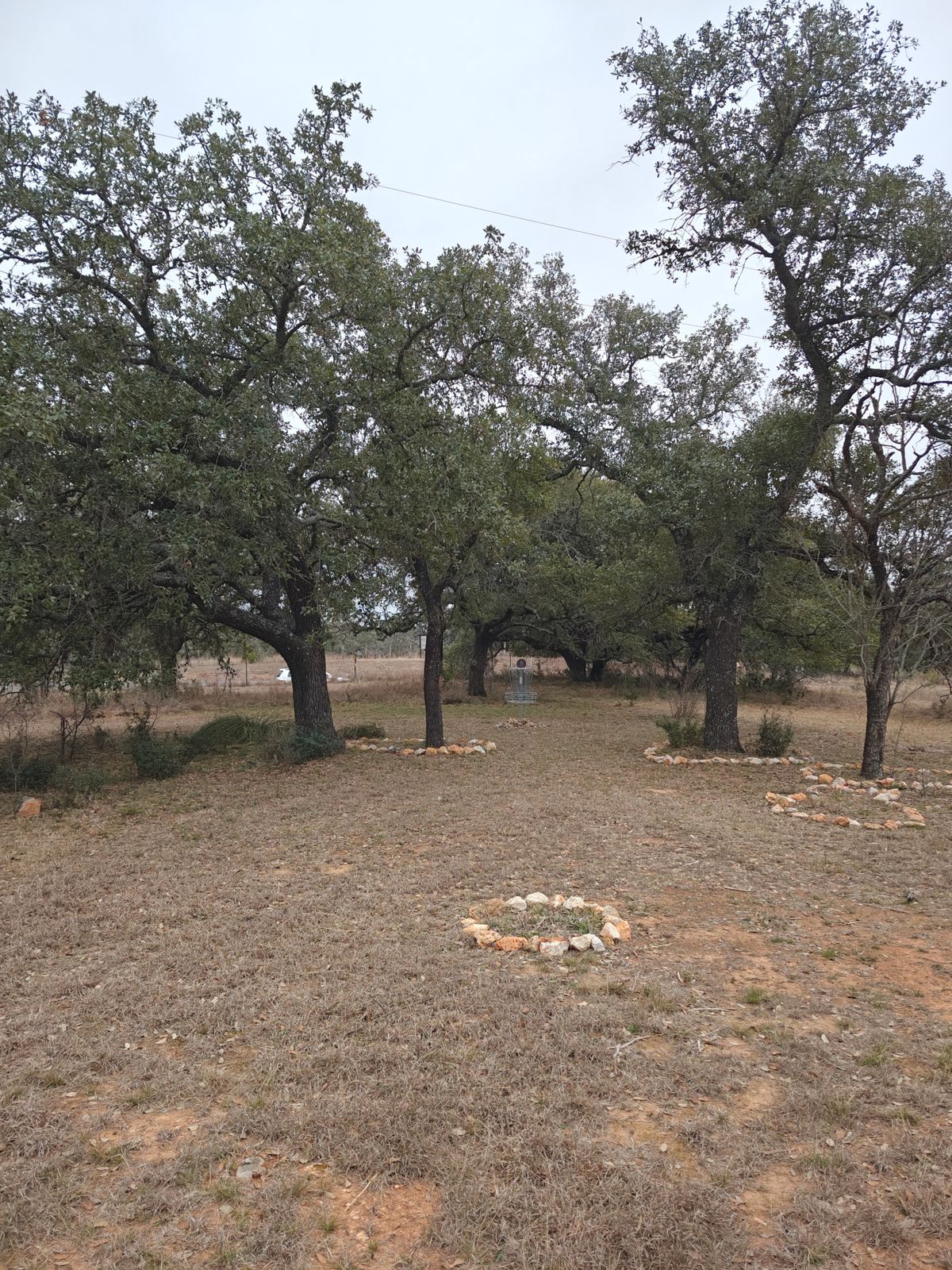 Hole 6 basket