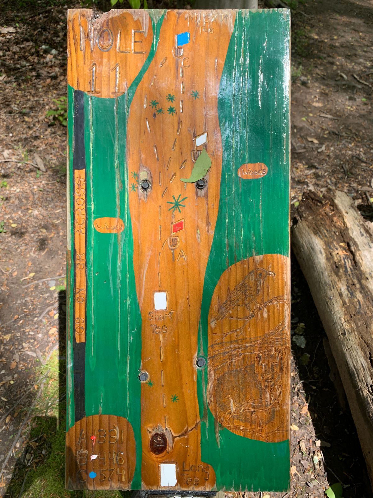 Hole 11 Map