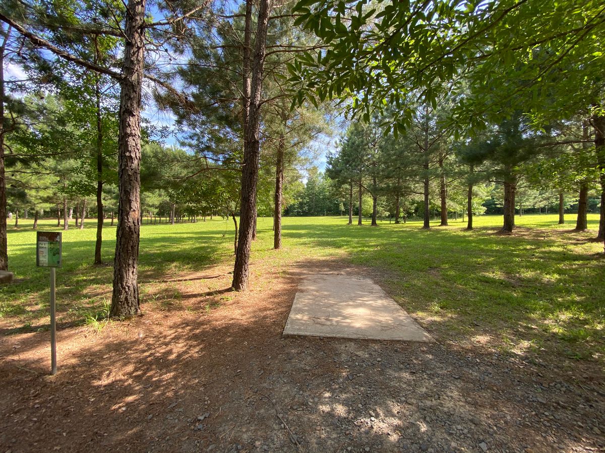 Hole 4