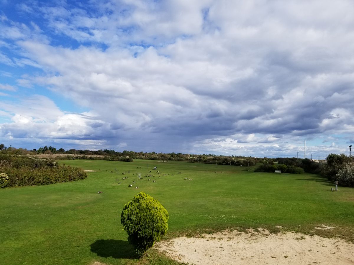 Good conditions.