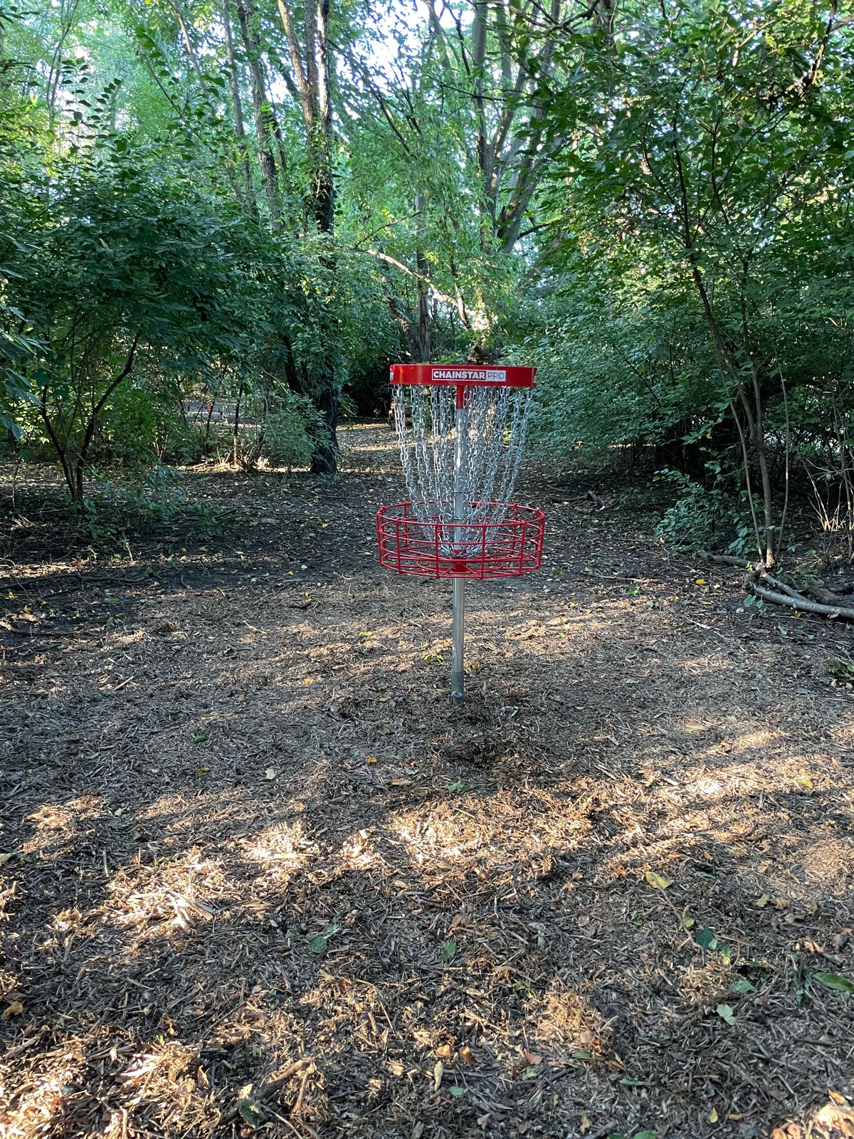 Hole 9 basket