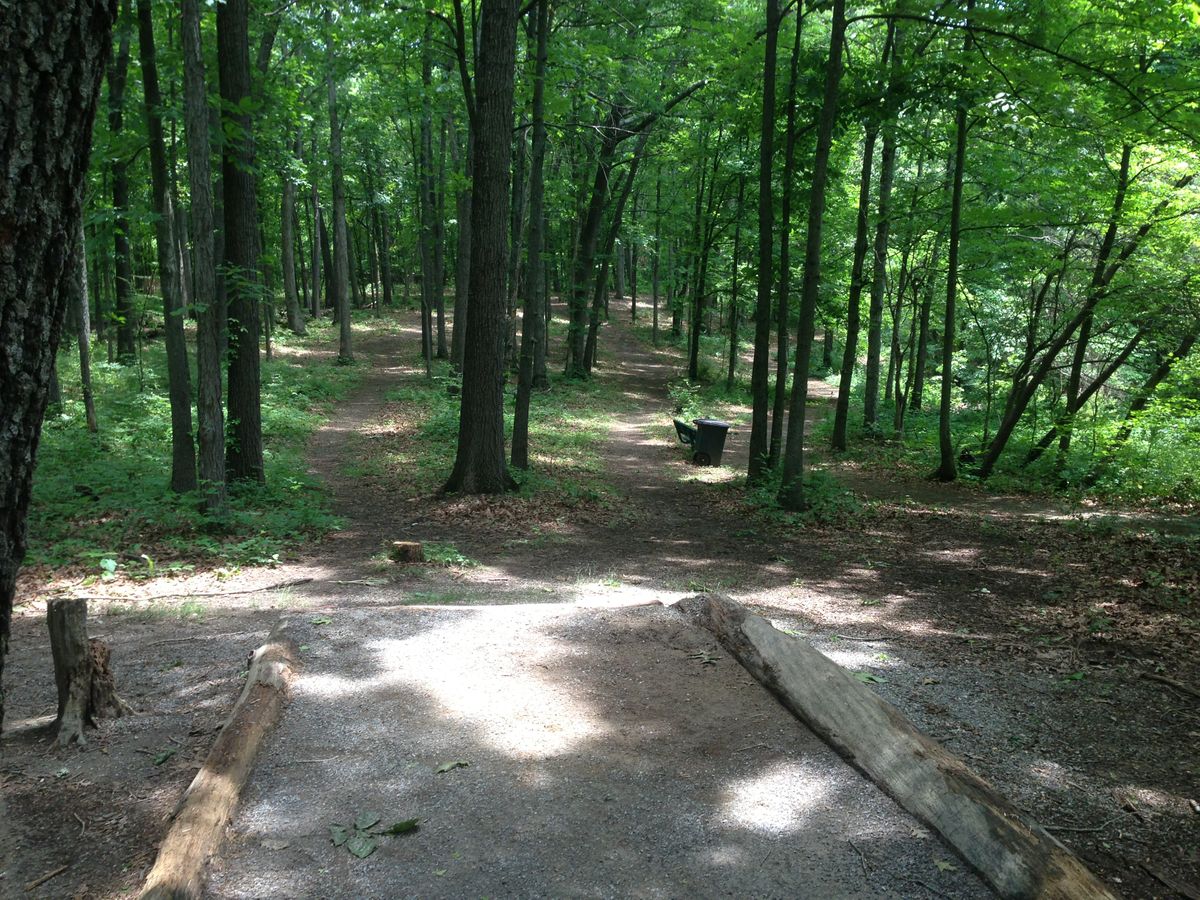 Hole 7