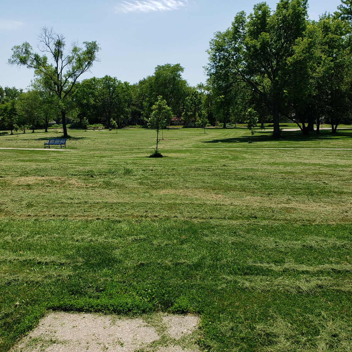 Hole 4