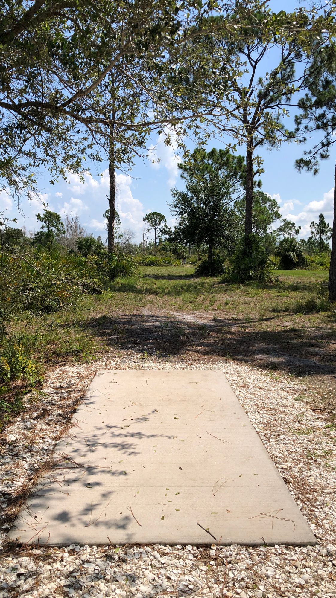 Hole#12 am pad