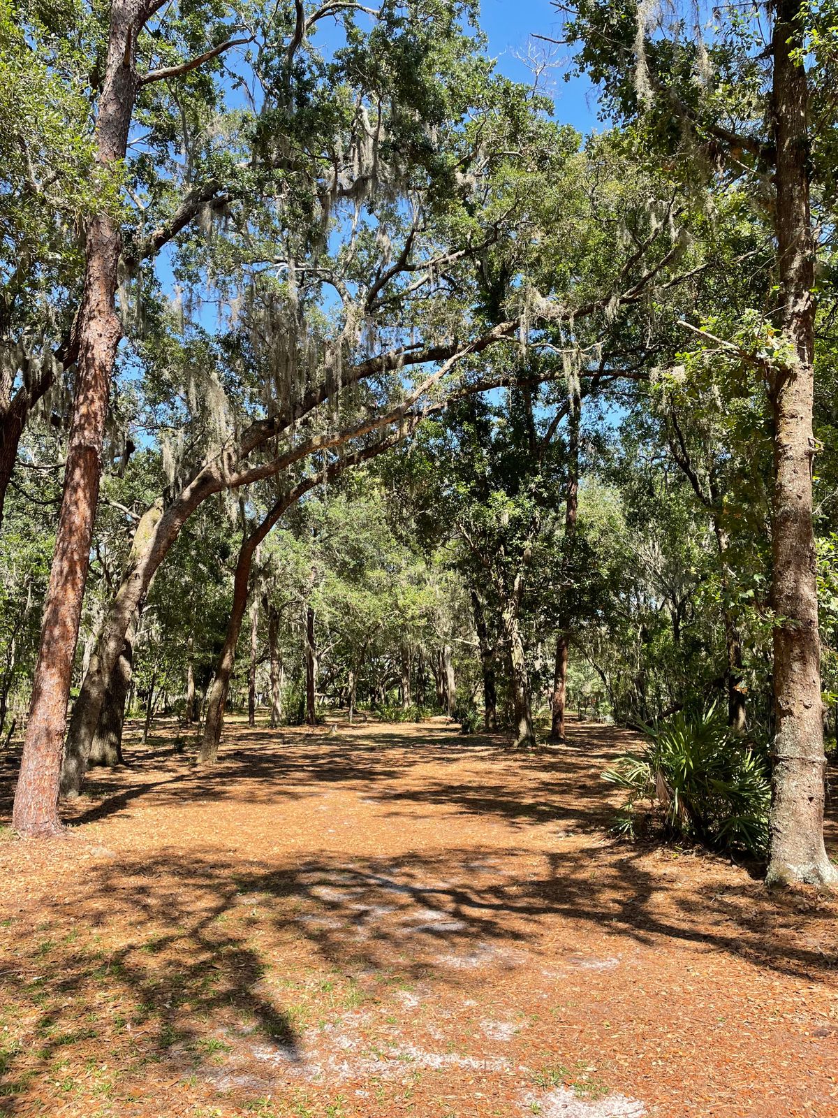 Hole 8