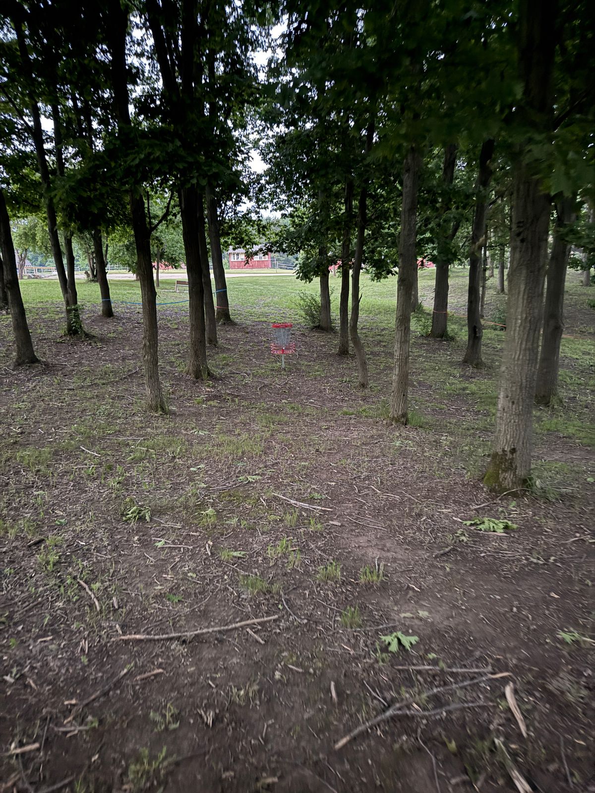 Hole Nine Basket