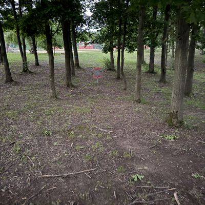 Hole Nine Basket