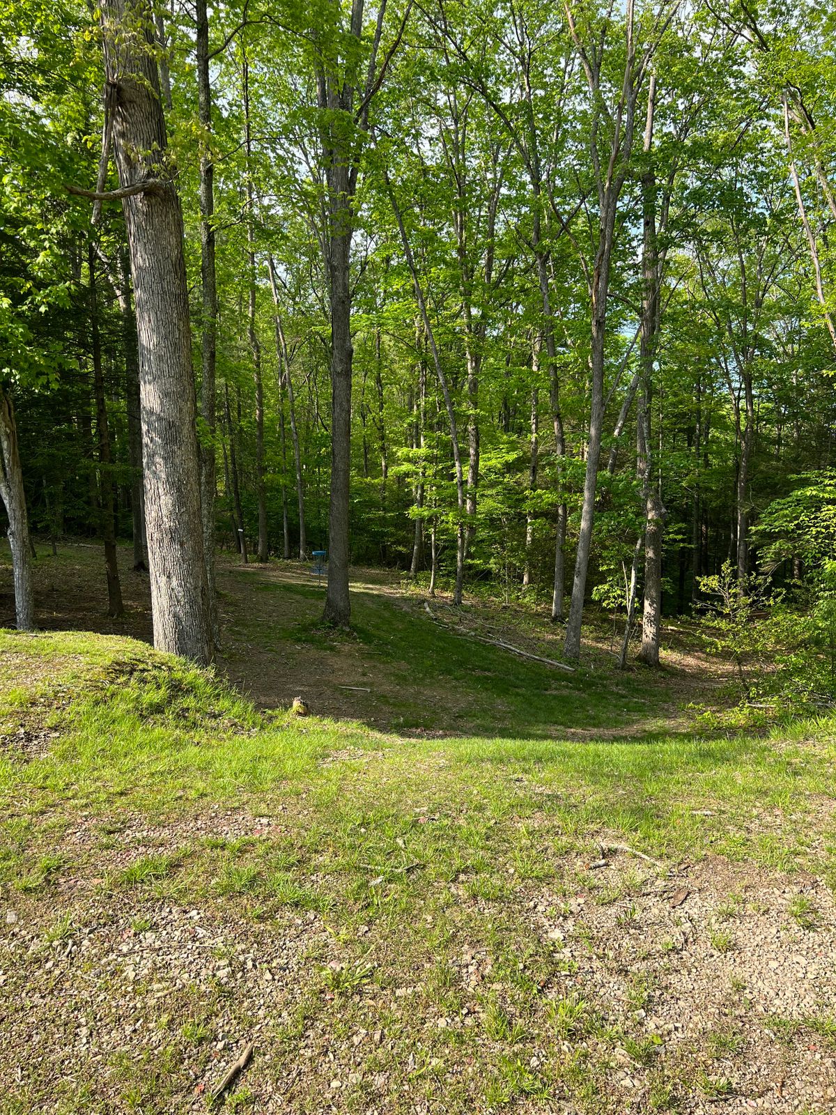 Hole 6 Approach