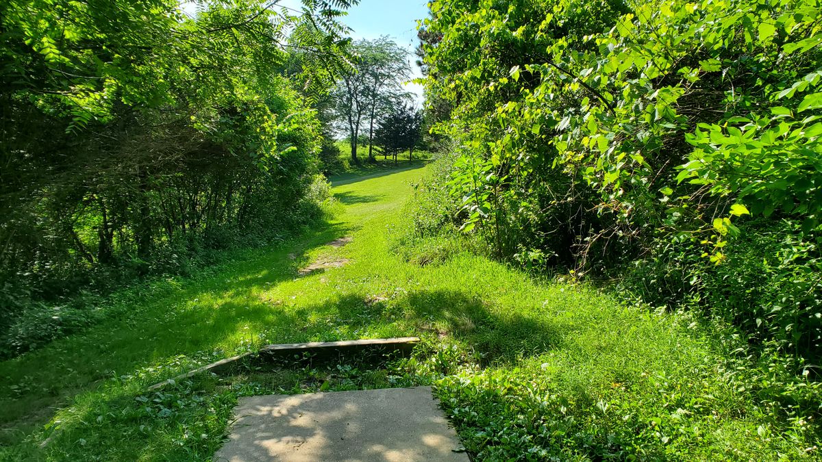 Hole 15