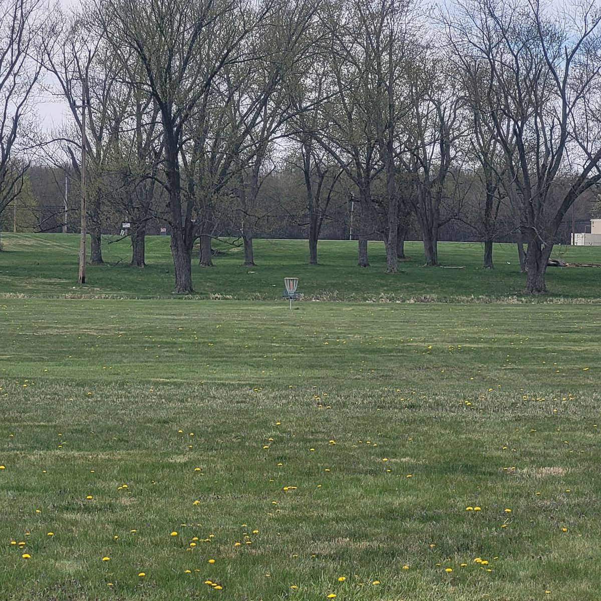Tee 5