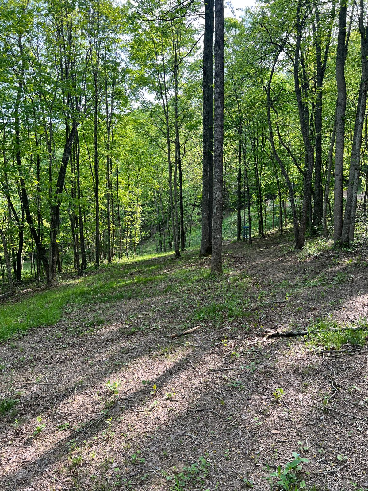 Hole 7 Approach