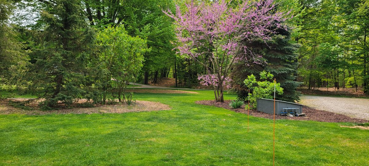 Hole 15 tee