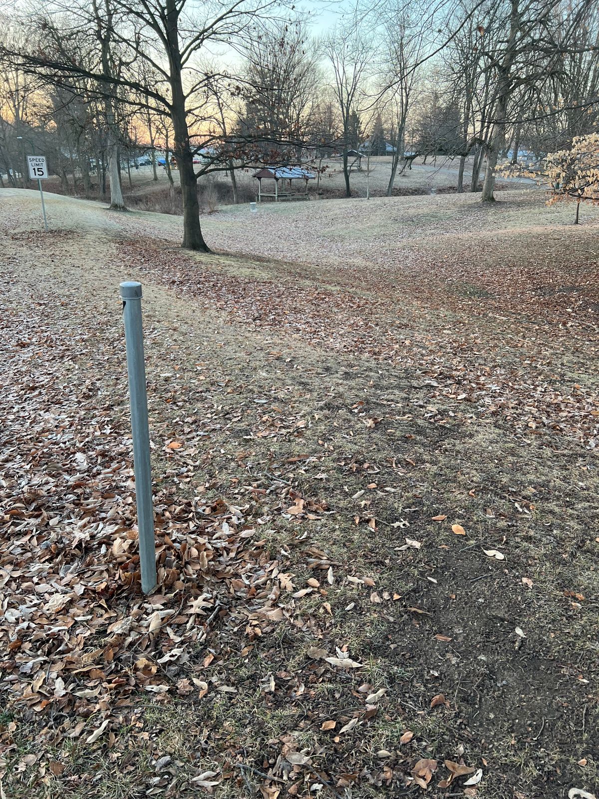 #7 Tee