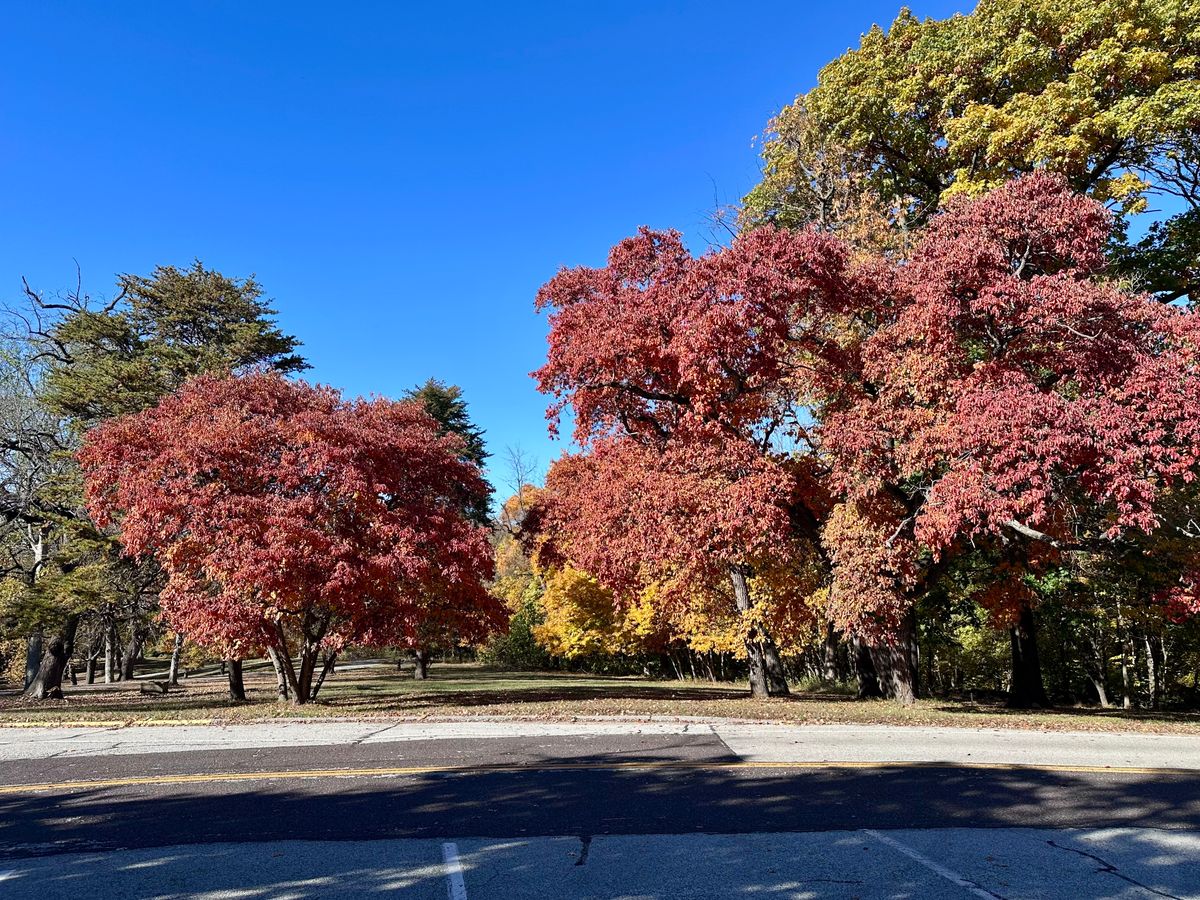 18 from across the street