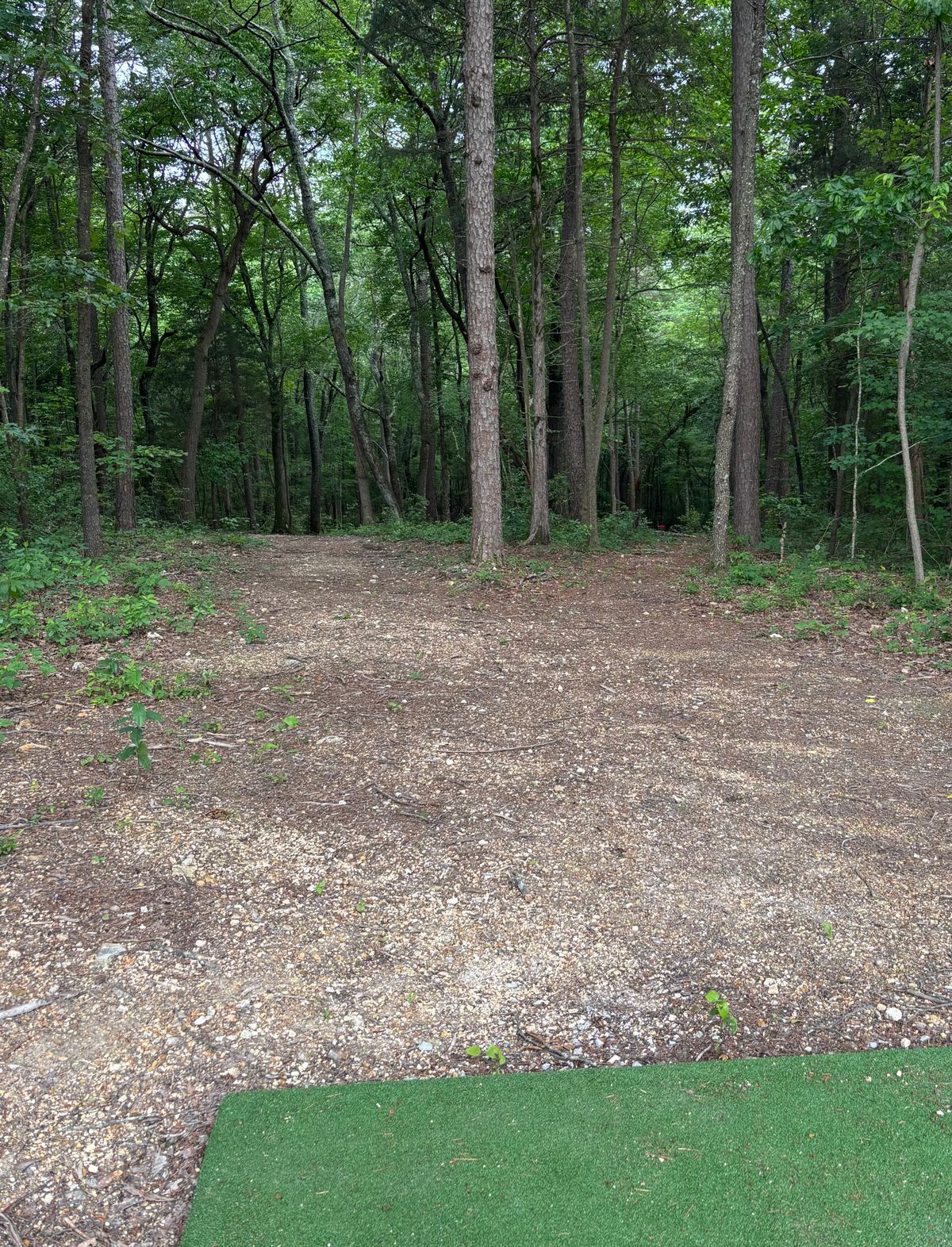 Hole #10 Tee