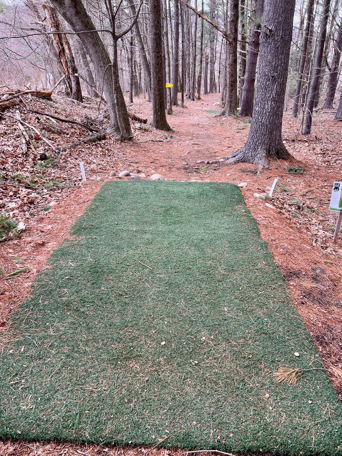 Hole #15 Tee Box