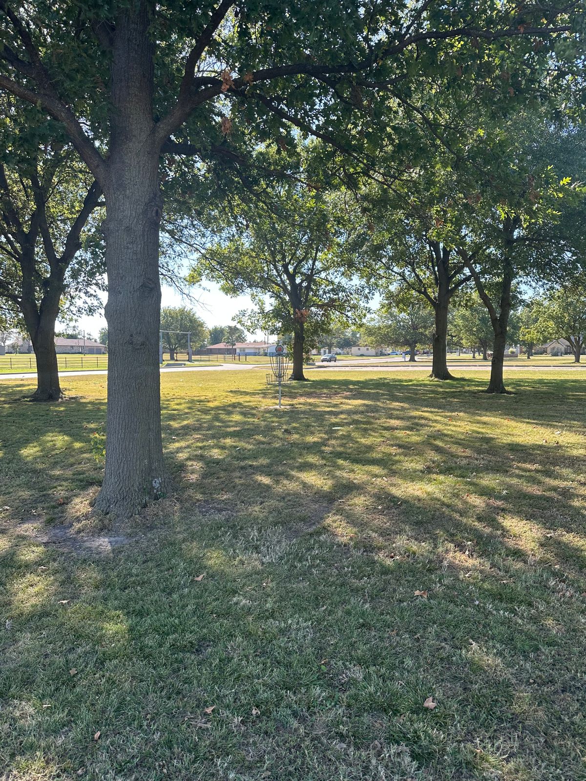 Hole 4 green