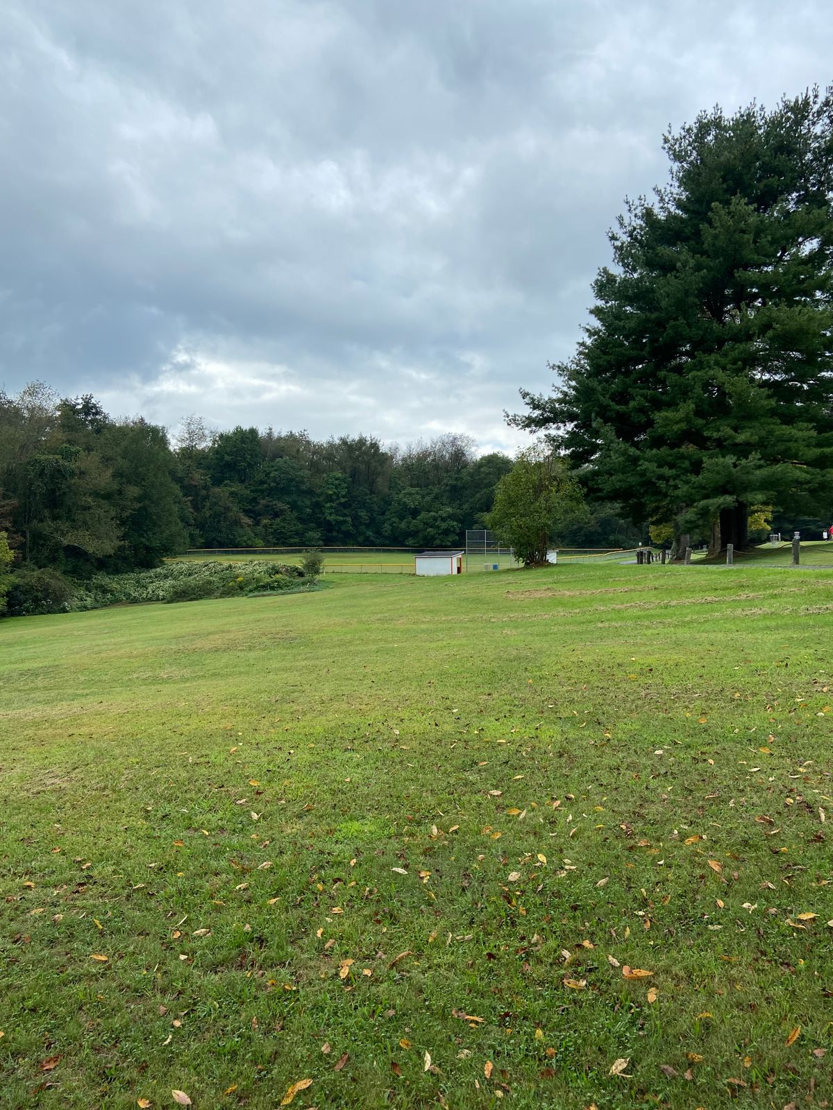 4fairway
