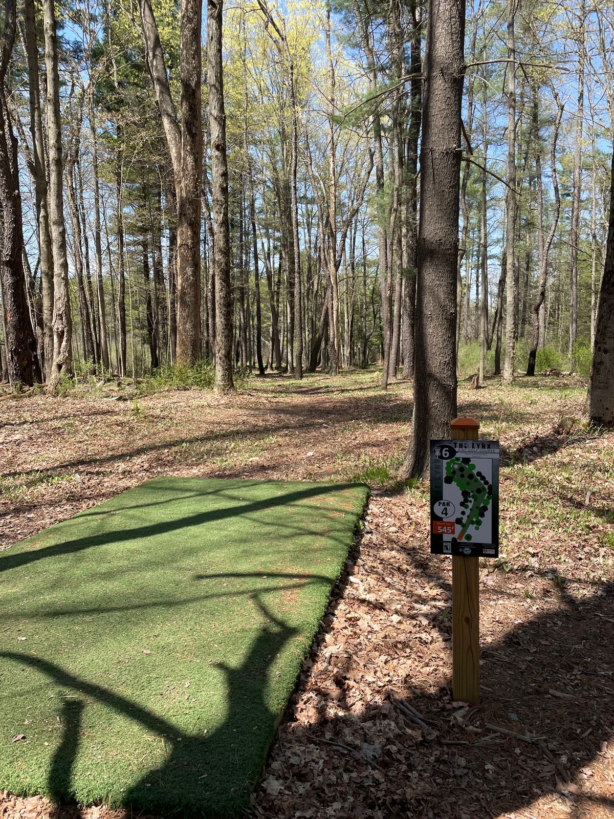 Hole 6, Orange (Short) tee.