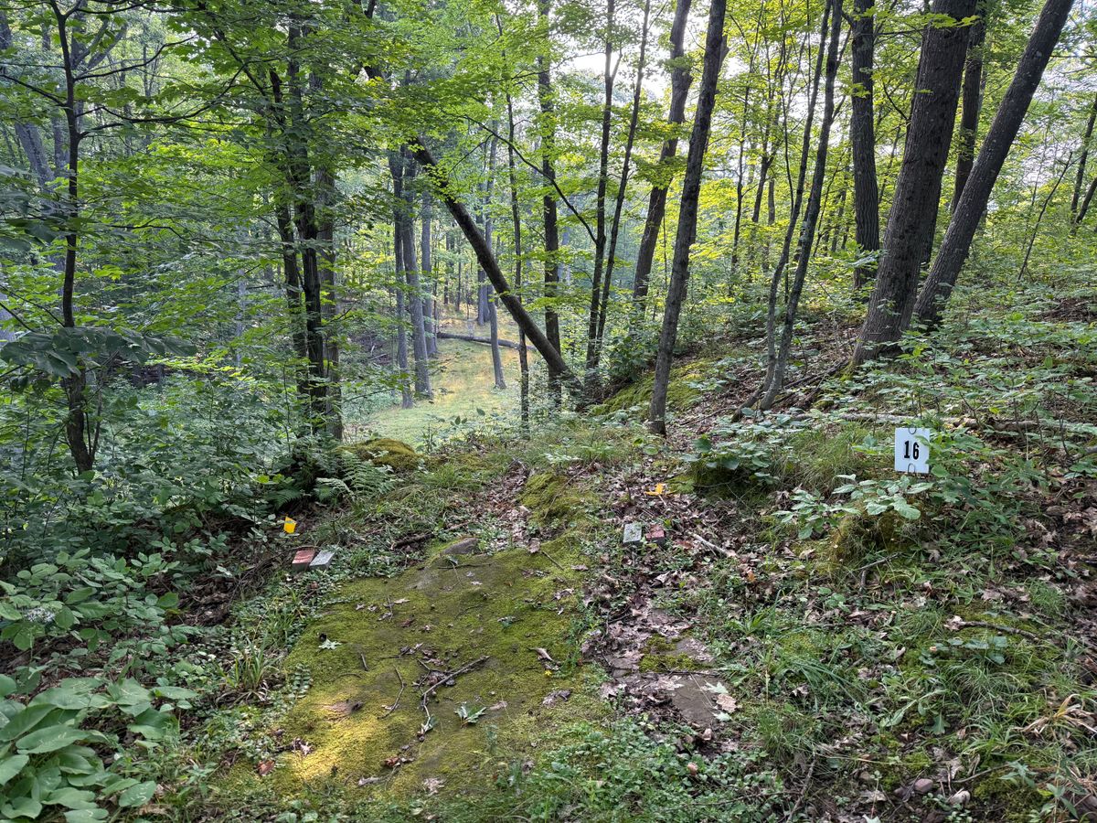 16 tee pad Aug 25.