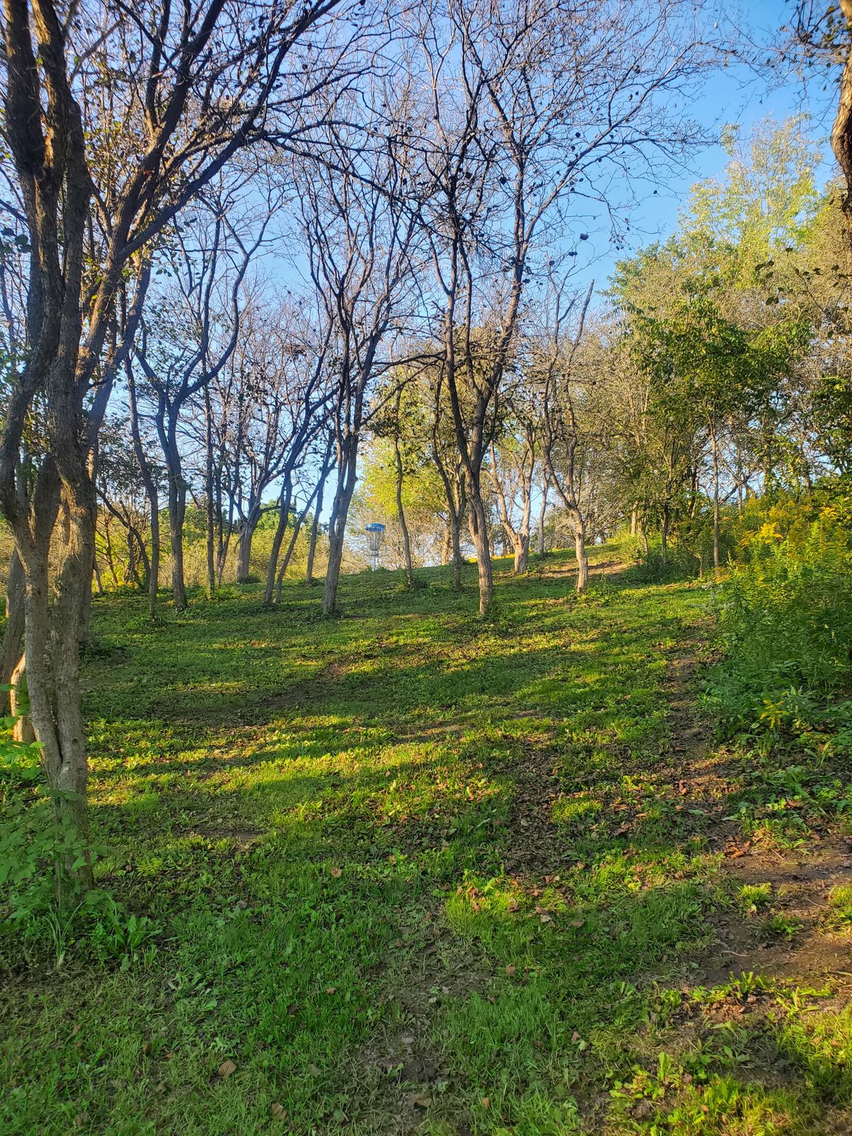 Hole 9 basket