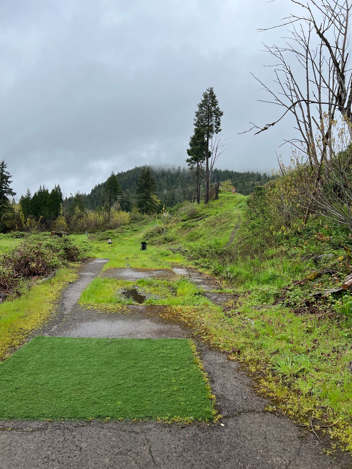 Hole 8
