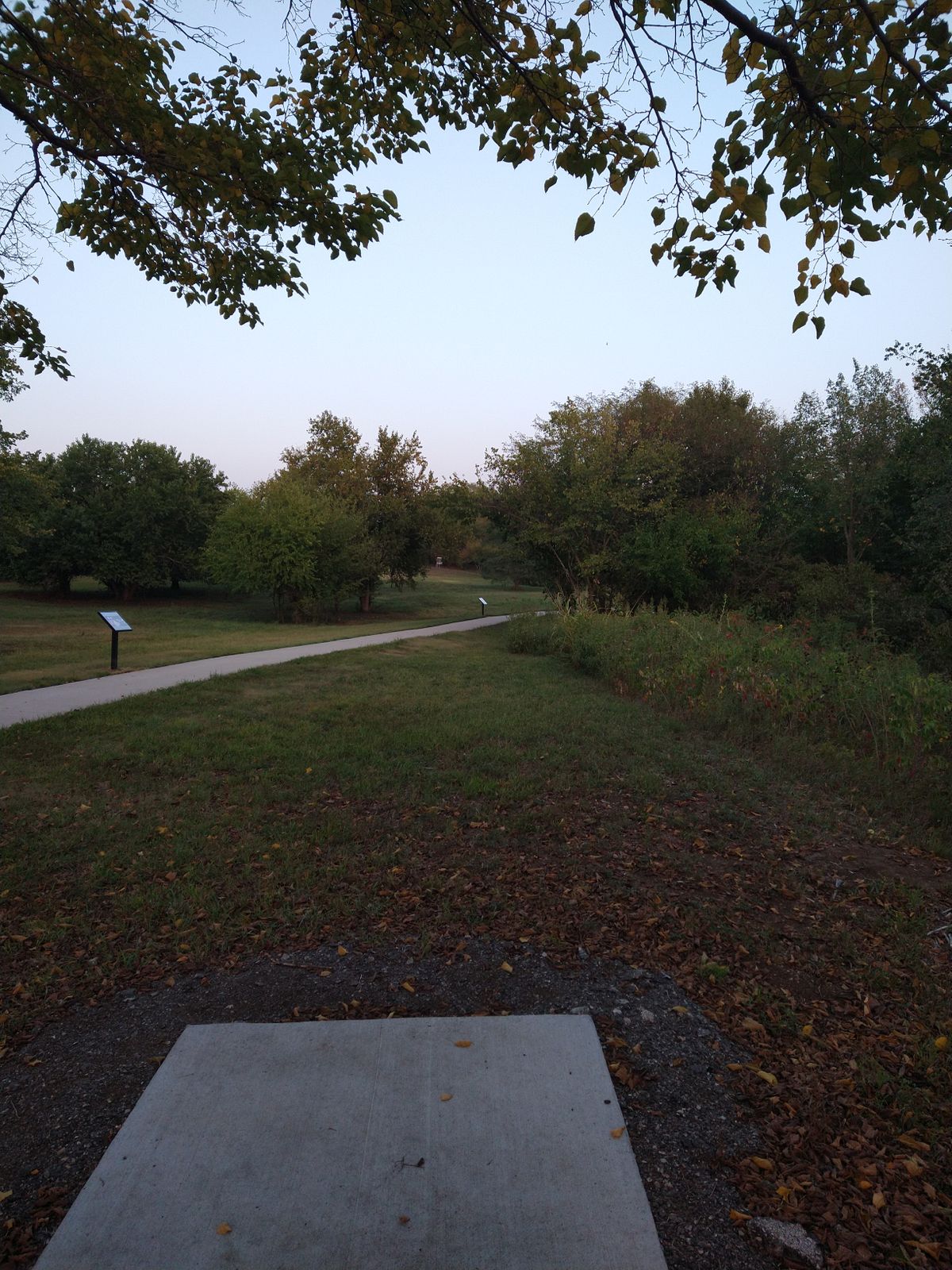 View from the 6th Tee