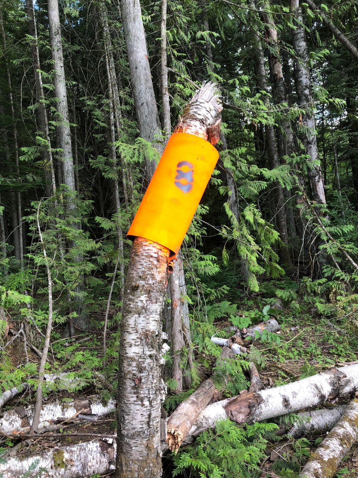 Hole 8 object