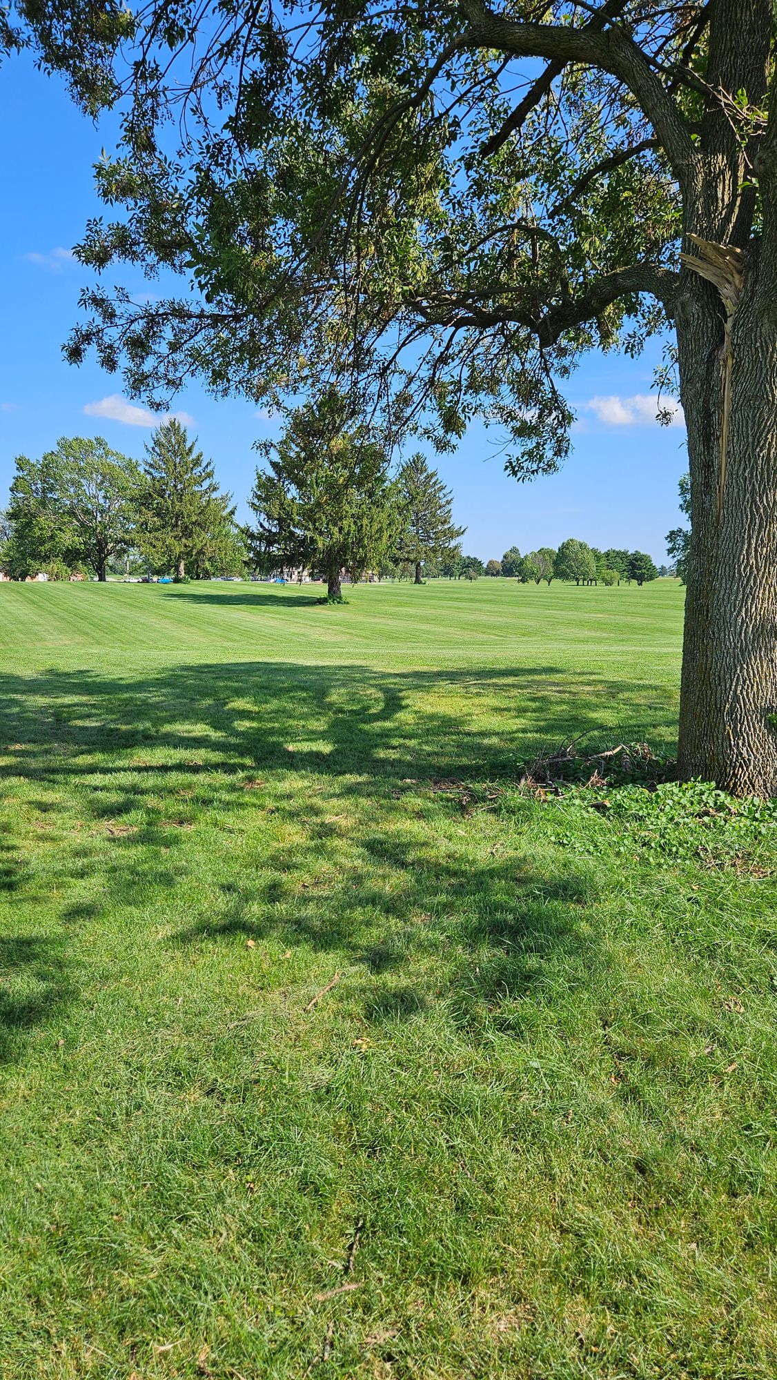 Hole 8 Tee