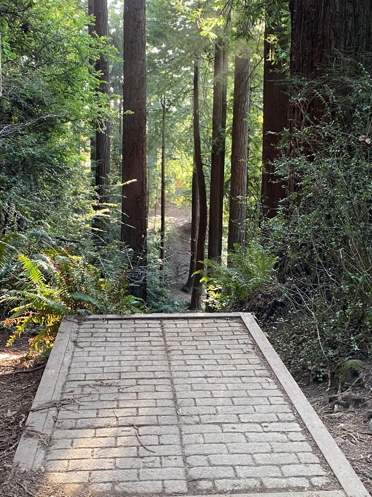 Hole 18 tee pad - pin to the left