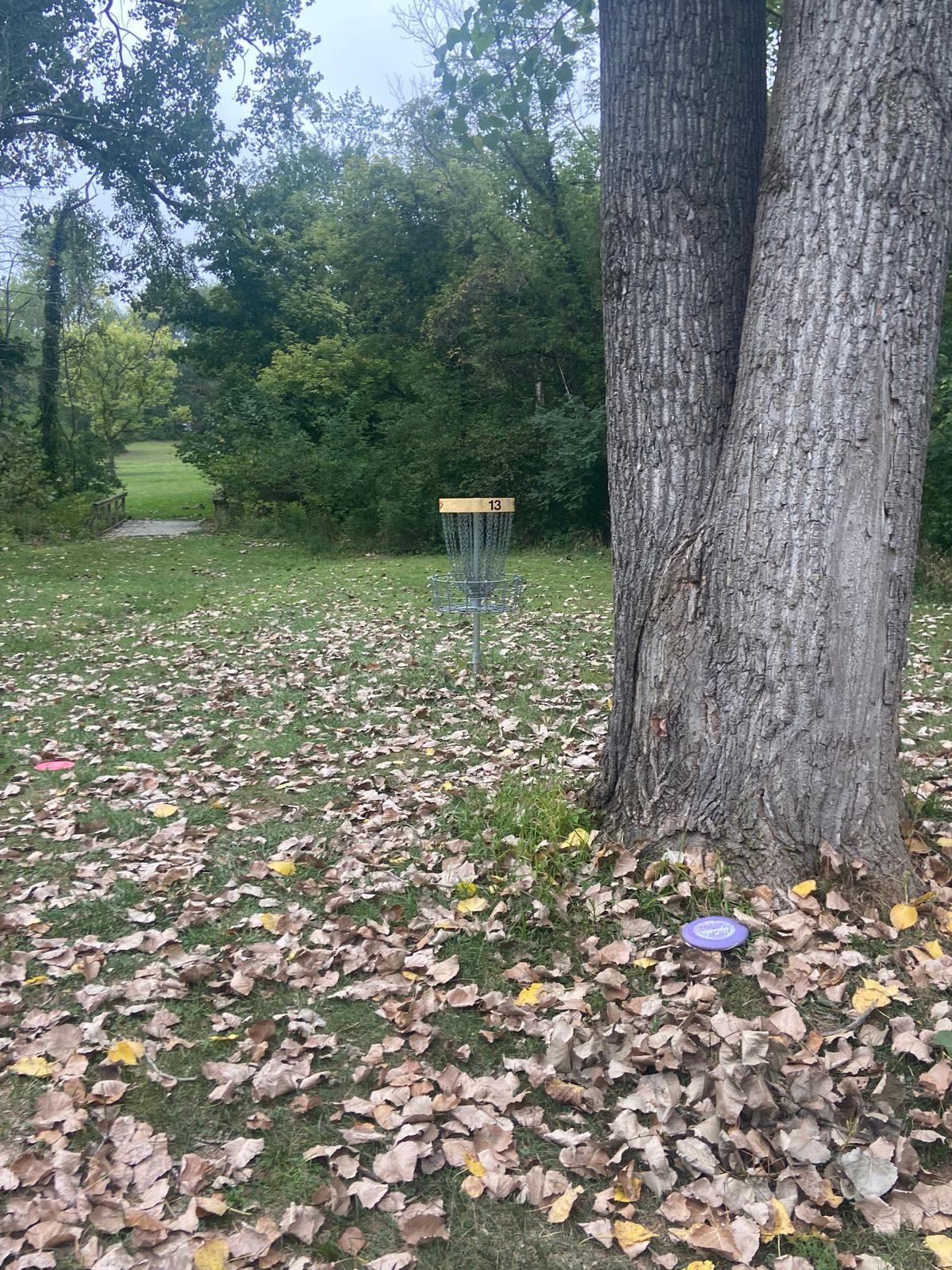 Basket on 13